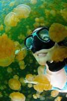 Kimi Werner entre medusas Kimi Werner entre medusas