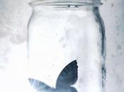 Reseña: Maravilloso desastre