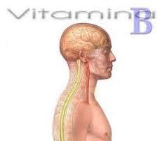 vitb12 Vitamina B12, necesaria para el metabolismo de los azúcares y para el mantenimiento del sistema nervioso central