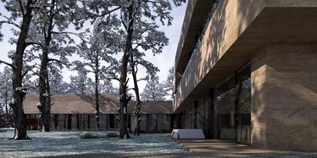 Propuesta de fachada alternativa para la vivienda unifamiliar en Rusia