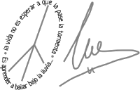 Un libro de firmas HANDMADE