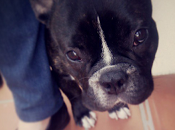 Resumen semanal Instagram: Lunes Mayo 2013. TASSEL