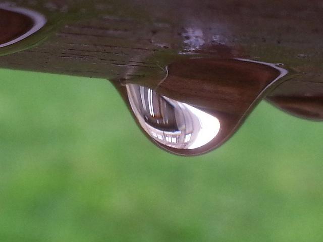 Androidografia Barakaldo 1331