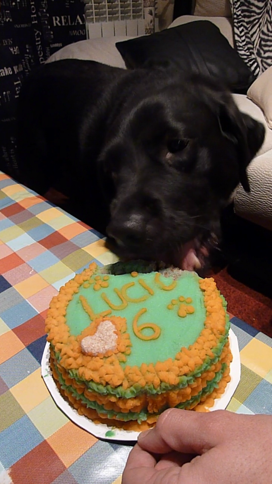 ♥ Post especial Miguitas