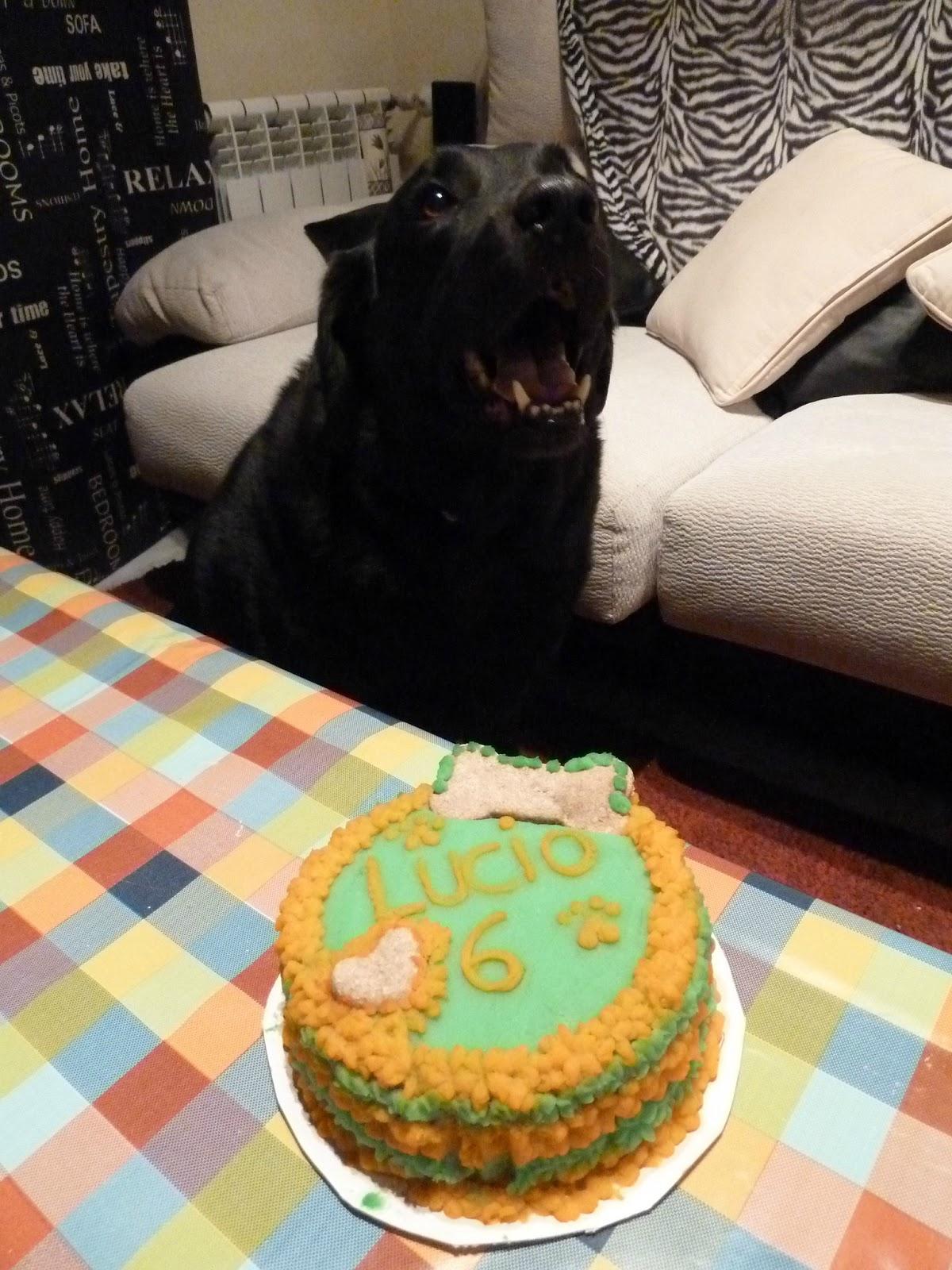 ♥ Post especial Miguitas