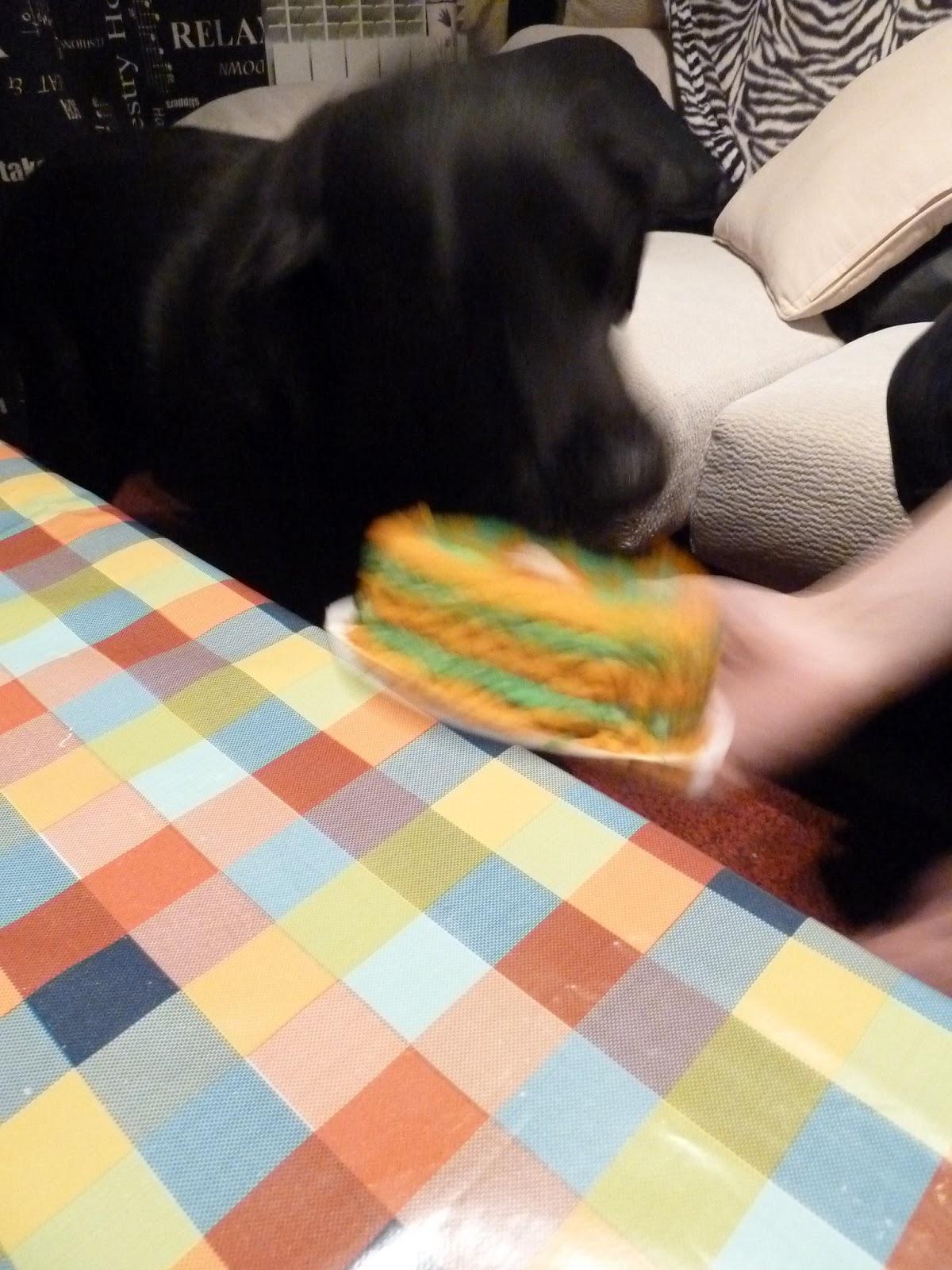 ♥ Post especial Miguitas