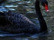 Conciliando falsabilidad