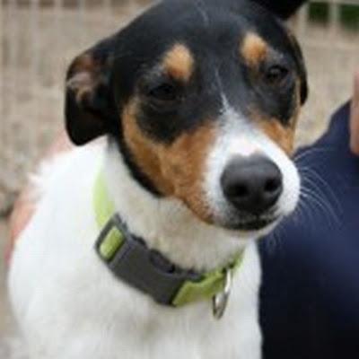 PISTACHO lindo bodeguero.