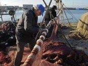 España pide “flexibilidad” Parlamento Europeo para acuerdo sobre pesca
