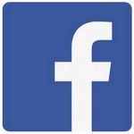 facebook-logo-excerpt