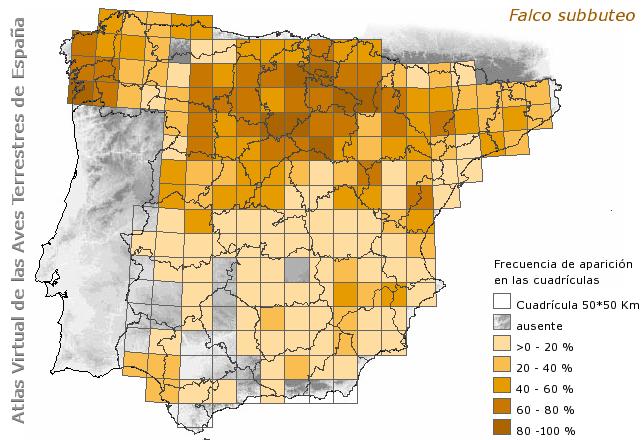 Alcotanes en La Granda