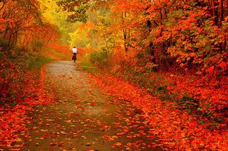 BALADA DE OTOÑO (J. M. Serrat)