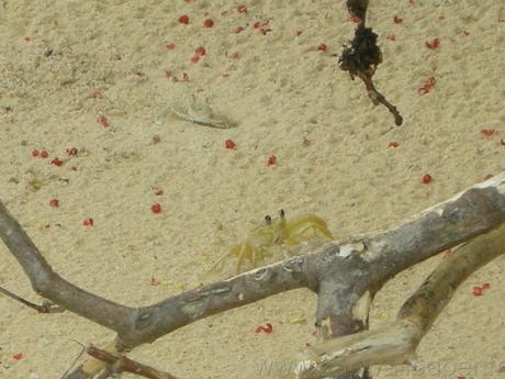 Un fin de semana en Morro de Sao Paulo