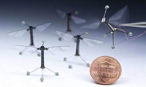 Los drones mas pequeños del mundo