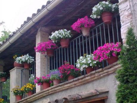 España ilusa 17374432