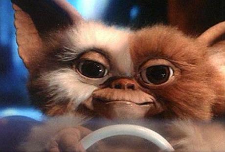 gizmo gremlins