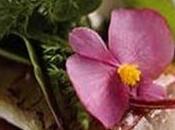 Cocinando flores, salud belleza