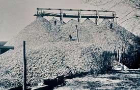 montones de conchas de ostras Chesapeake bay a finales del siglo XIX