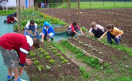 campementos granja escuela