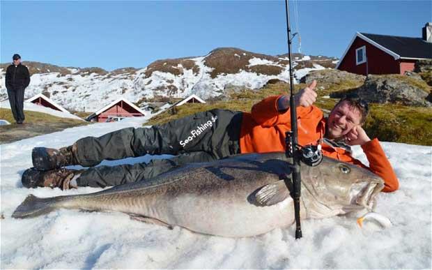 pesca récord de bacalao en Noruega
