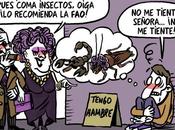 ¿Comer insectos?