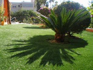 LA IMPORTANCIA DE UN JARDÍN