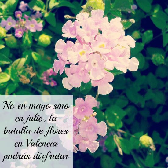  photo flores-lilas_zps4ad0e9f9.jpg