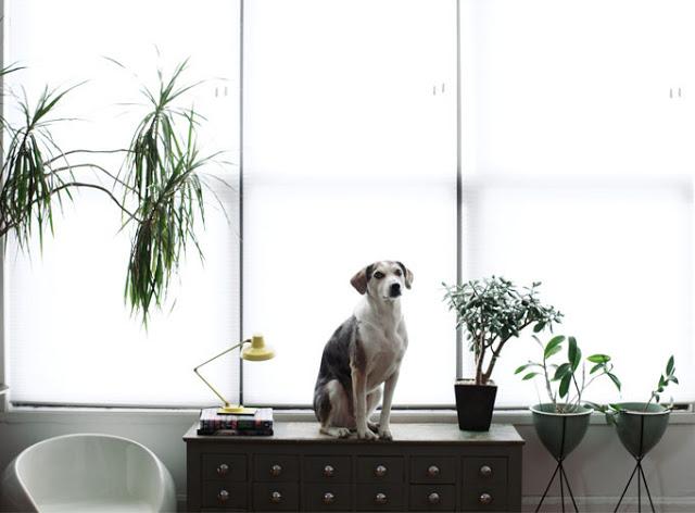 Wood & Grey Inspiration on a Rented House