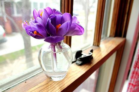 Wedding Wednesday: Las flores para tu ramo