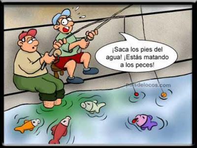 tapas, mejillones a la marinera, tapas originales, mejillones, recetas originales, recetas de cocina, humor, cocina creativa, curiosidades tapas, mejillones a la marinera, tapas originales, mejillones, recetas originales, recetas de cocina, humor, cocina creativa, curiosidades