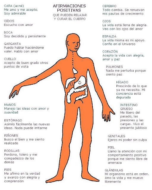 Lo que pensamos varía nuestra biología. Bruce Lipton.