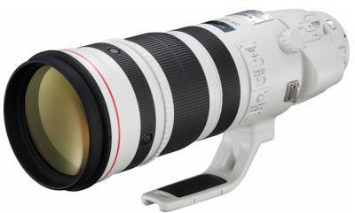 canon, canon 200-400, canon EF 200-400 f/4L, canon EF 200-400 f/4L IS USM 1.4x