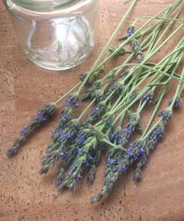 Aceite Esencial de LAVANDA