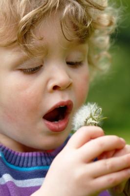 niño observando una flor