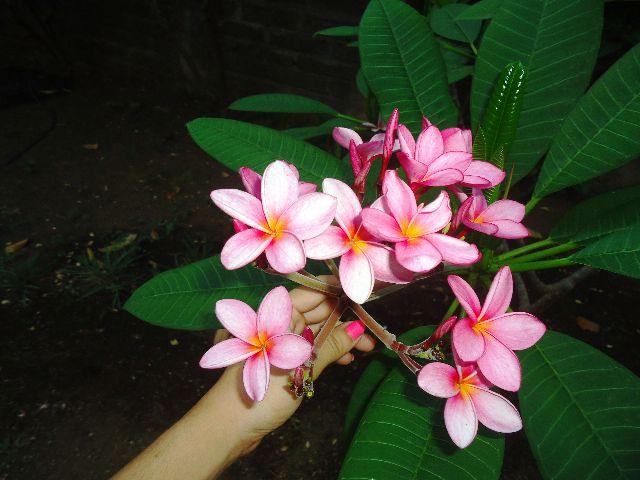 ¡Naturaleza Nicaragüense!