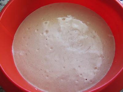 Bases de bizcochos expres