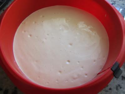 Bases de bizcochos expres