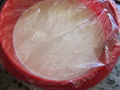 Bases de bizcochos expres