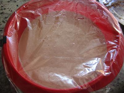 Bases de bizcochos expres