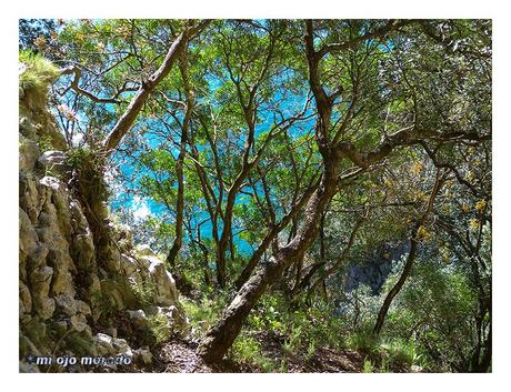 Recorrido circular en Monte Buciero. Santoña.Cantabria Recorrido circular en Monte Buciero. Santoña.Cantabria