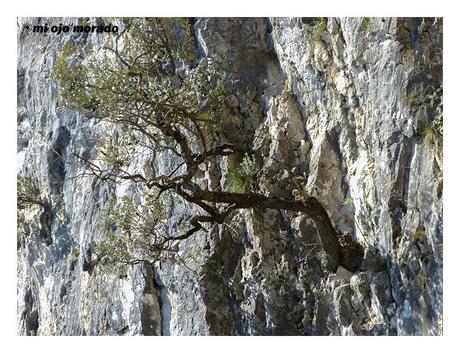 Recorrido circular en Monte Buciero. Santoña.Cantabria