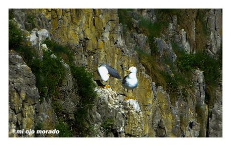 Recorrido circular en Monte Buciero. Santoña.Cantabria