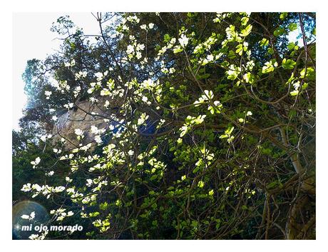 Recorrido circular en Monte Buciero. Santoña.Cantabria