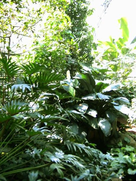 Un día en WILHELMA ZOO- STUTTGART, parte 1.