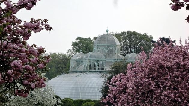 Invernaderos Reales de Laeken - Bruselas