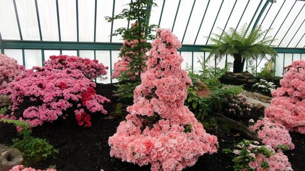 Invernaderos Reales de Laeken - Bruselas