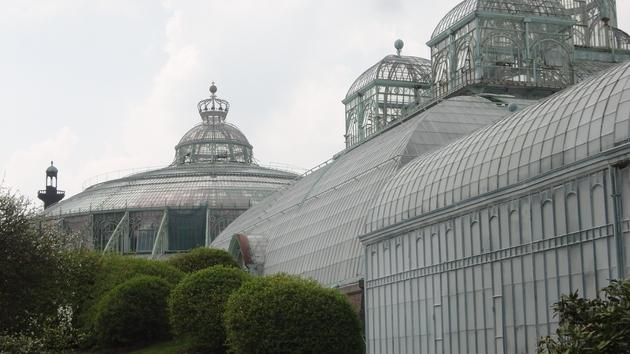 Invernaderos Reales de Laeken - Bruselas