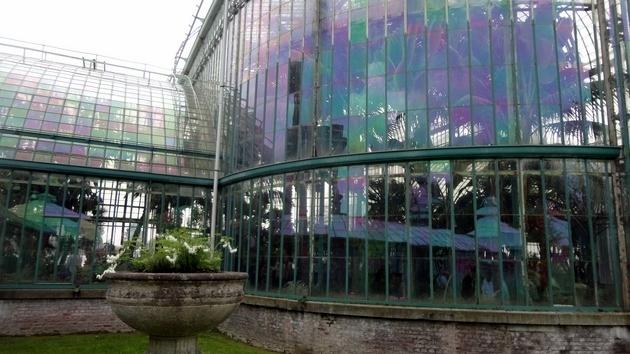 Invernaderos Reales de Laeken - Bruselas