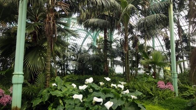 Invernaderos Reales de Laeken - Bruselas