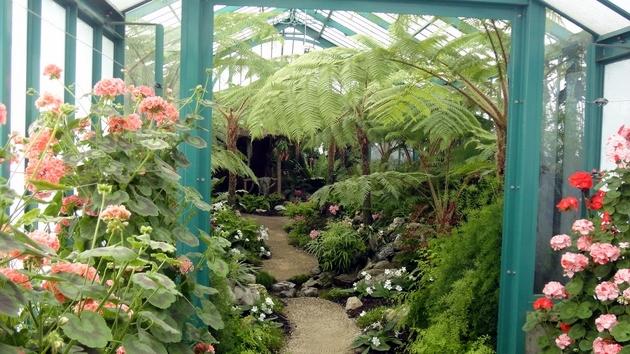 Invernaderos Reales de Laeken - Bruselas